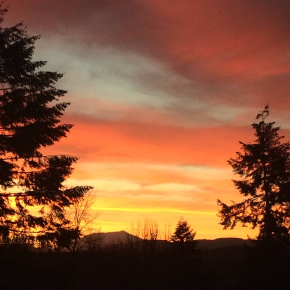 Meet your Posher, Diana - Picture 1 of 1